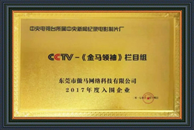 CCTV -《金馬領袖》欄目組